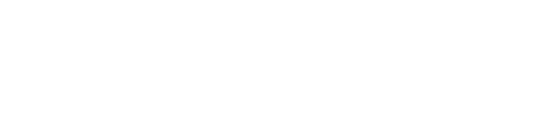 Renegade_SURF_TRAVEL_FULL_LOGOwhiteresize